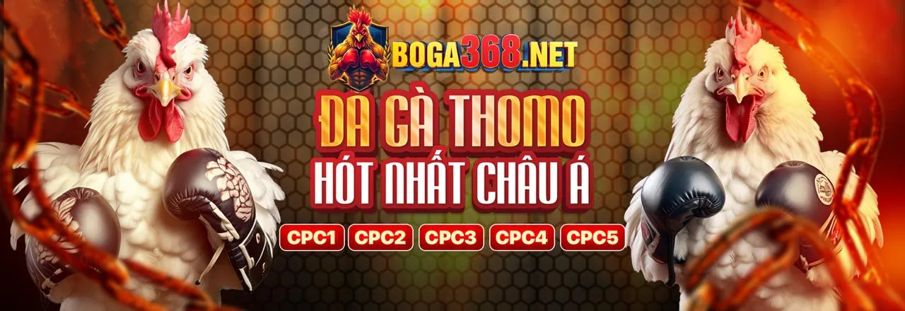 Đá gà trực tuyến 28bet - Sân đấu kịch tính