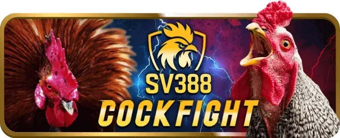 Chọn phiên bản tải xuống ứng dụng 28bet
